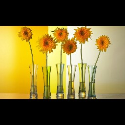 Aimee Stewart Photo 20