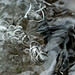 Jesse Nagle Photo 12