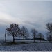 Carl Brach Photo 6