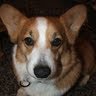 Alice Haynes Photo 7