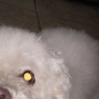 Clare Willis Photo 12