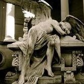 Timothy Ragan Photo 5