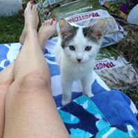 Sarah Cloud Photo 11