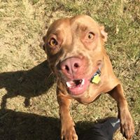 Eric Wagner Photo 17