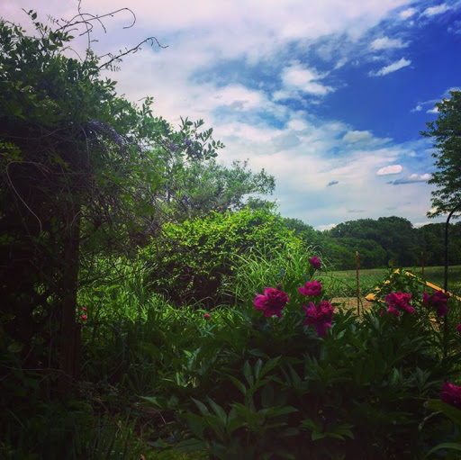 Heather Swenson Photo 13