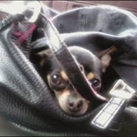 Laura Newman Photo 24