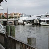 Janice Wolfe Photo 16