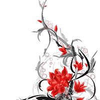 Alyssa Stephens Photo 3