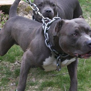 Julie Vasquez Photo 25