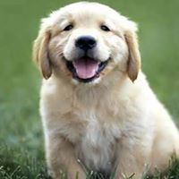 Andrew Hunter Photo 26