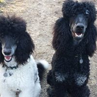 Christine Kavanaugh Photo 11