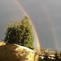 Karen Dewolfe Photo 13