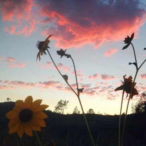 Kelly Rankin Photo 45