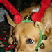 Parker Bell Photo 22