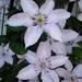 Christopher Moser Photo 33