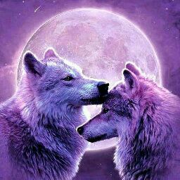 Eileen Peters Photo 29