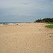 Sandy Long Photo 30
