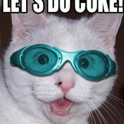 Solomon Summers Photo 13