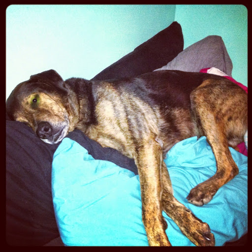 Lindsey Fitzgerald Photo 33