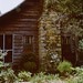 Thomas Stapleton Photo 13