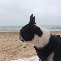 Vicki Christiansen Photo 9