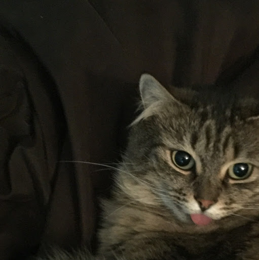 Geoffrey Webber Photo 13