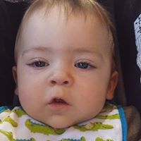 Susan Powers Photo 38 Susan Powers Photo 38