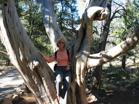 Teresa Bowden Photo 17