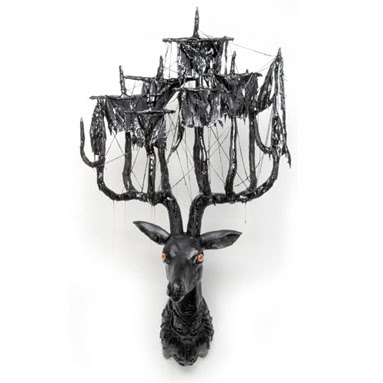 Dana Harrison Photo 20