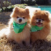 Teddy Patrick Photo 24