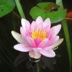 Karen Morrow Photo 24 Karen Morrow Photo 24