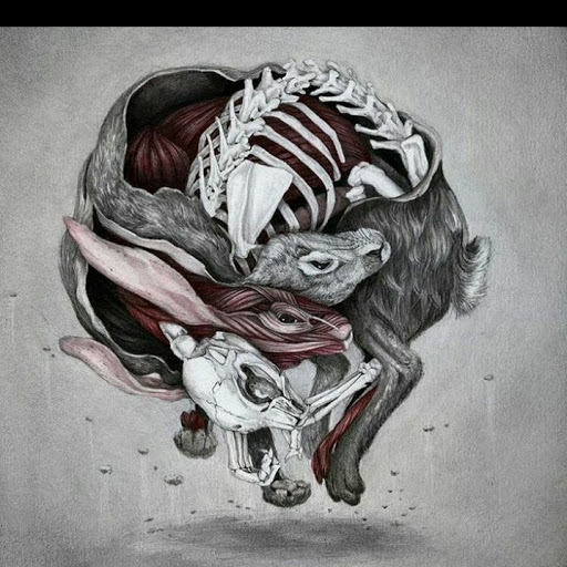 Andrew Glover Photo 42