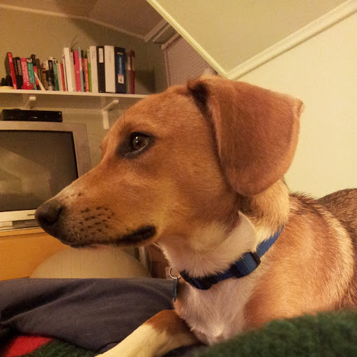 Alex Mejias Photo 21