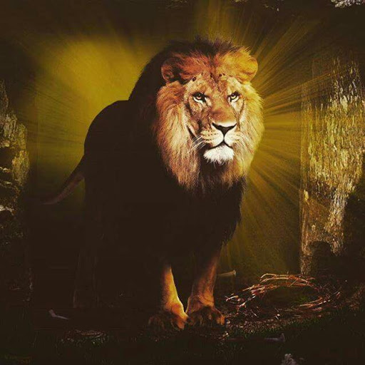 Jerome Hamilton Photo 20