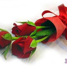Nada Mohammad Photo 10