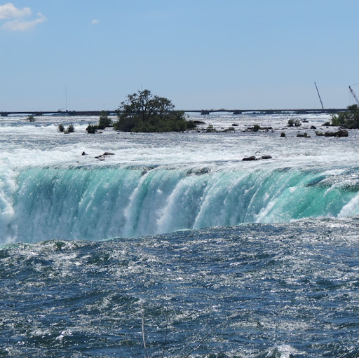 Renee Waterhouse Photo 10