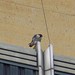 Paul Falco Photo 9