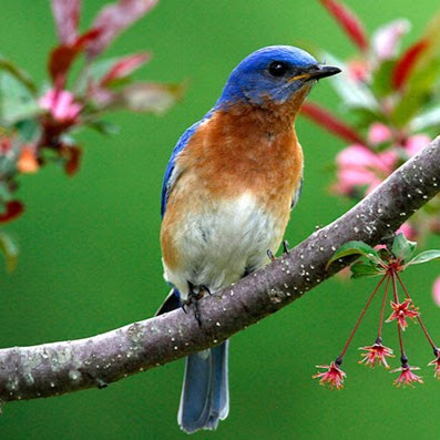 Vivek Srivastav Photo 27