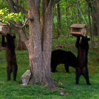 Kathy Strawn Photo 20