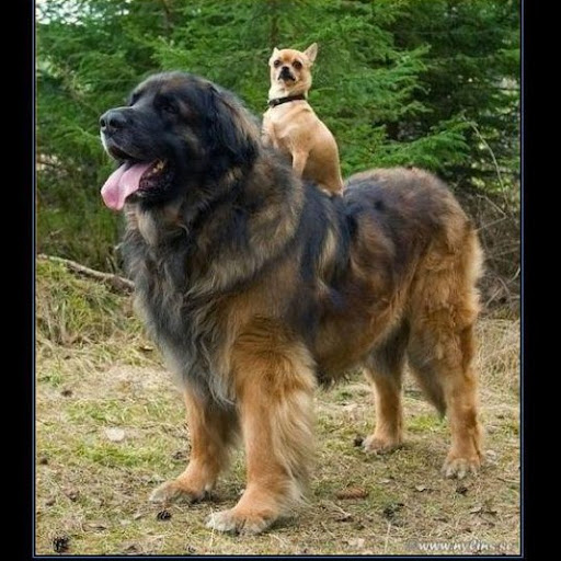 Erick Estrada Photo 32