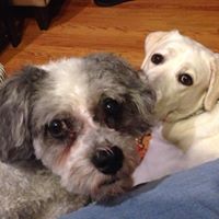 Anne Niemiec Photo 7