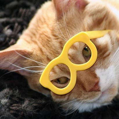 Cathy Mills Photo 13