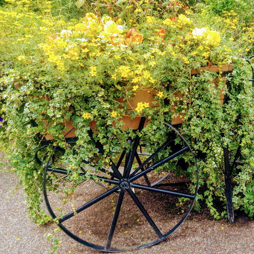 Stacey Barber Photo 35