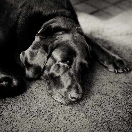 Erick Gonzales Photo 33