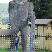 Diana Leach Photo 20