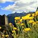 Torre Somma Photo 7