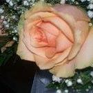 Angela Sousa Photo 17