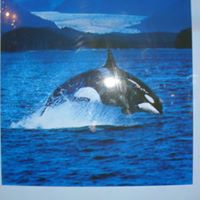 Janice Fitzpatrick Photo 26