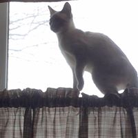 Debbie Bruns Photo 25