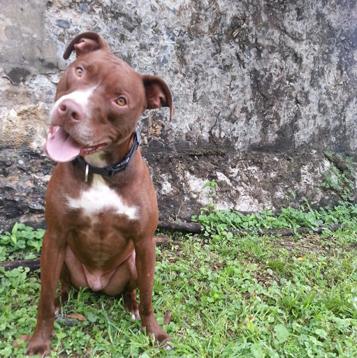 Samantha Lang Photo 18